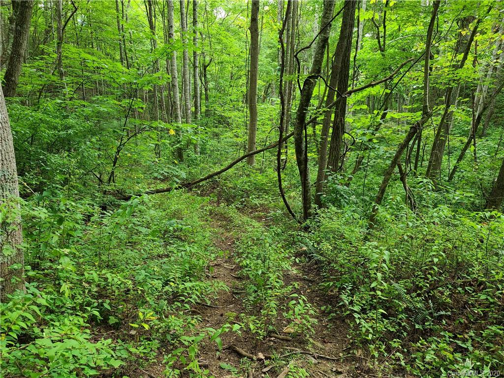 145.34 Paint Fork Road Barnardsville, NC 28709 - Photo 26 of 32 a view of a yard