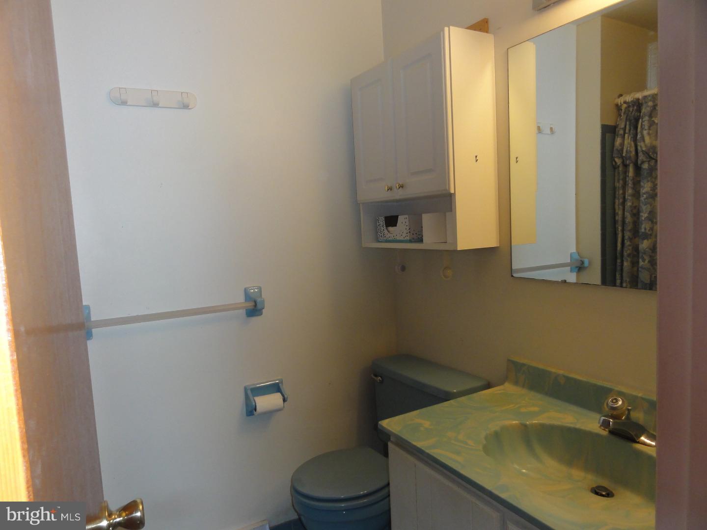 1509 Green Lane Road Lansdale, PA 19446 - Photo 10 of 15 Bathroom