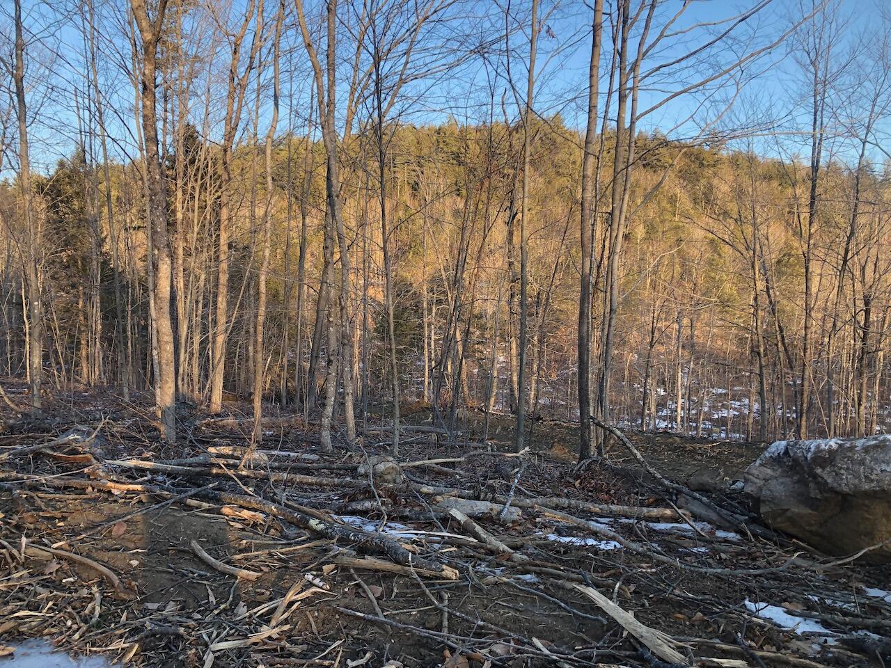 L25 Canton Mountain Road Jay, ME 04239 - Photo 20 of 25 IMG_8014