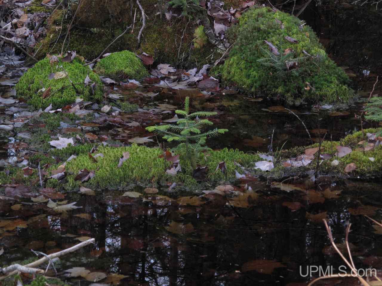 22405 Webb Road Grand Marais, MI 49839 - Photo 10 of 32 Gallery Image 10