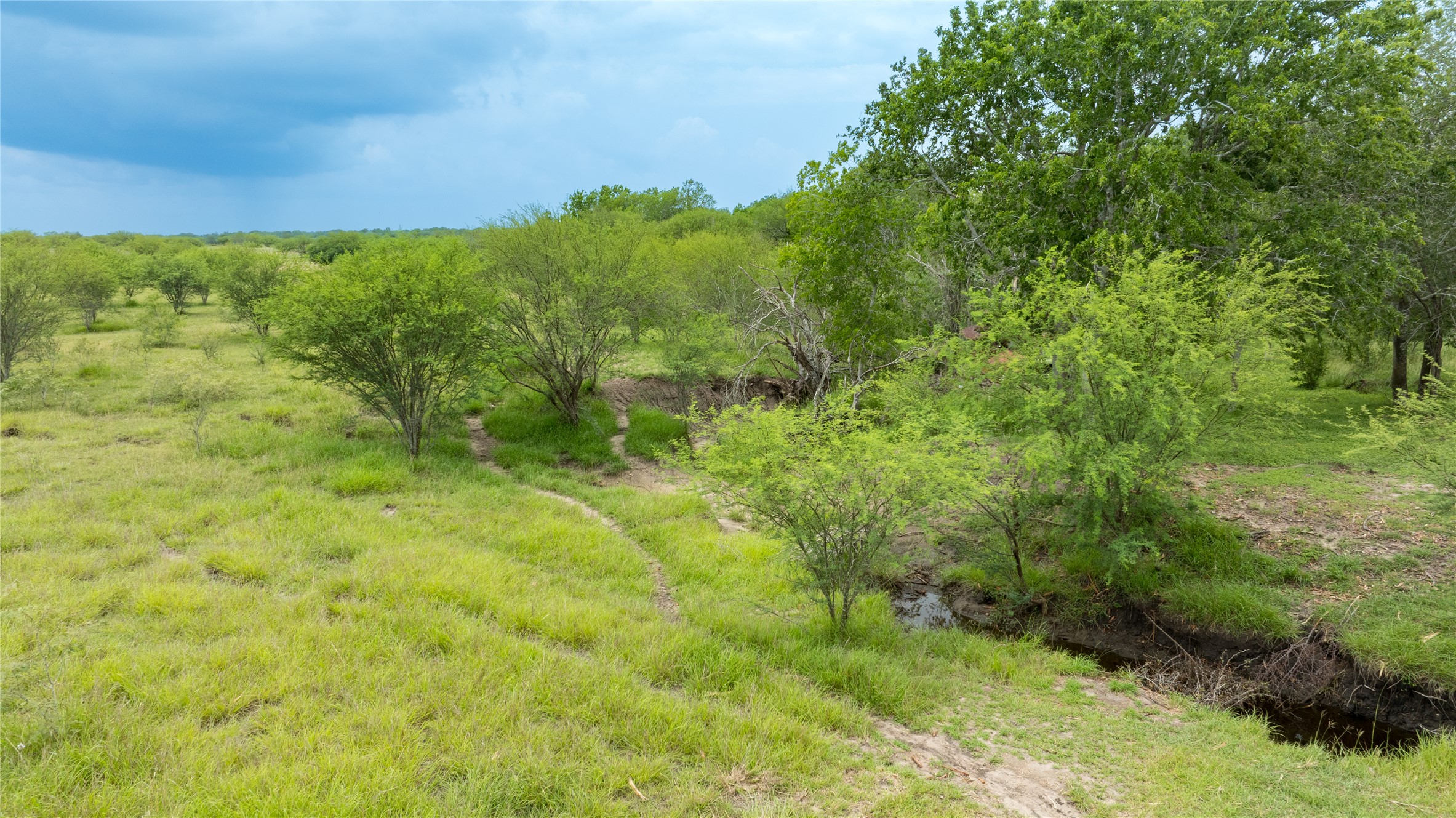 Lot 1 Concrete-Edgar Road Cuero, TX 77954 - Photo 12 of 15 View of undeveloped land