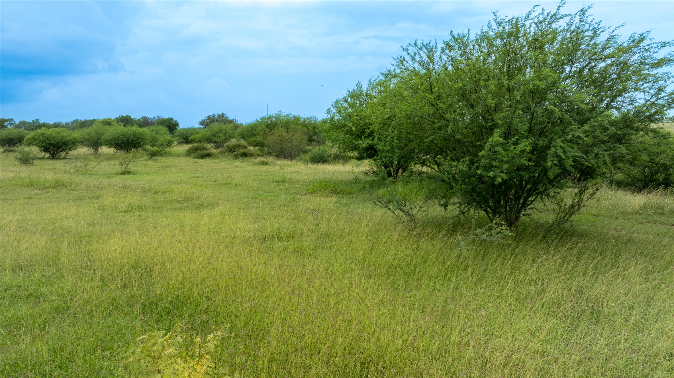 Lot 1 Concrete-Edgar Road Cuero, TX 77954 - Photo 15 of 17 a view of a lush green space