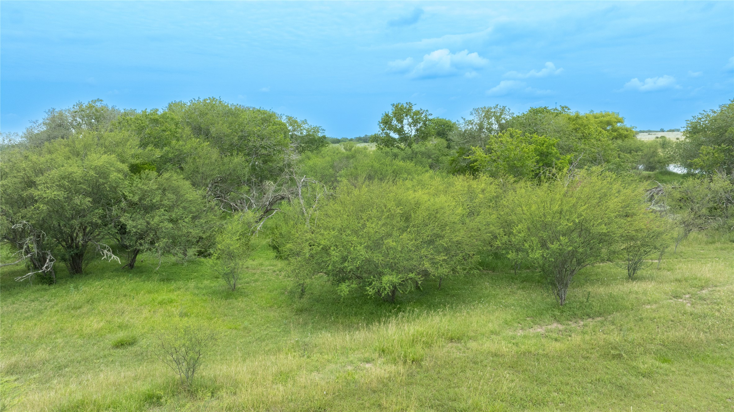 Lot 1 Concrete-Edgar Road Cuero, TX 77954 - Photo 16 of 17 a view of a lake with a yard