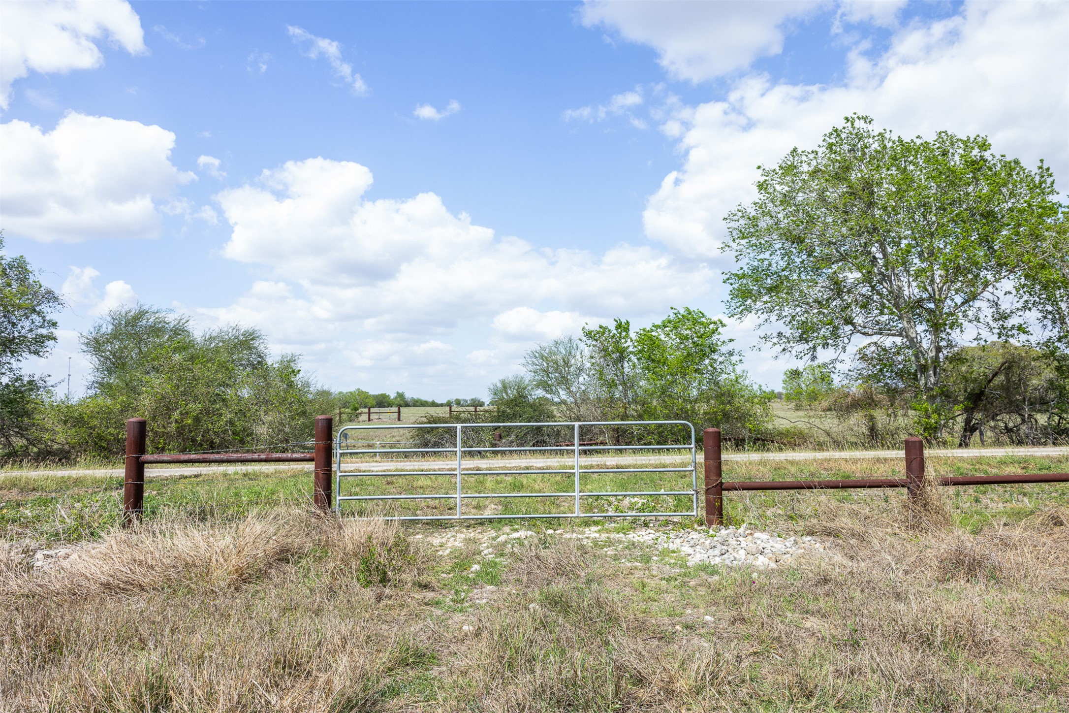 Lot 1 Concrete-Edgar Road Cuero, TX 77954 - Photo 6 of 17 a view of a yard with a large tree