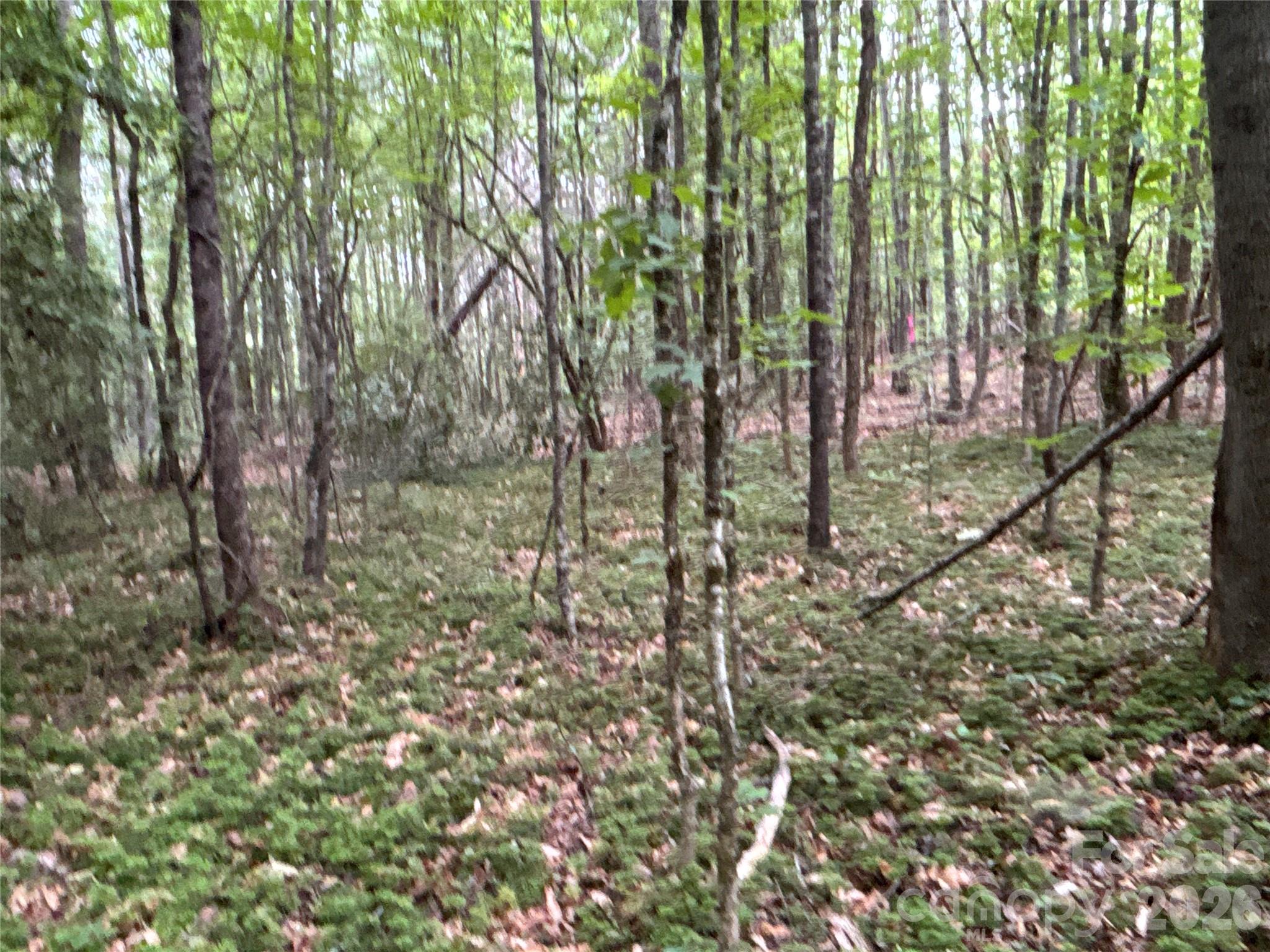 0 J J Thomas Road Morganton, NC 28655 - Photo 9 of 11