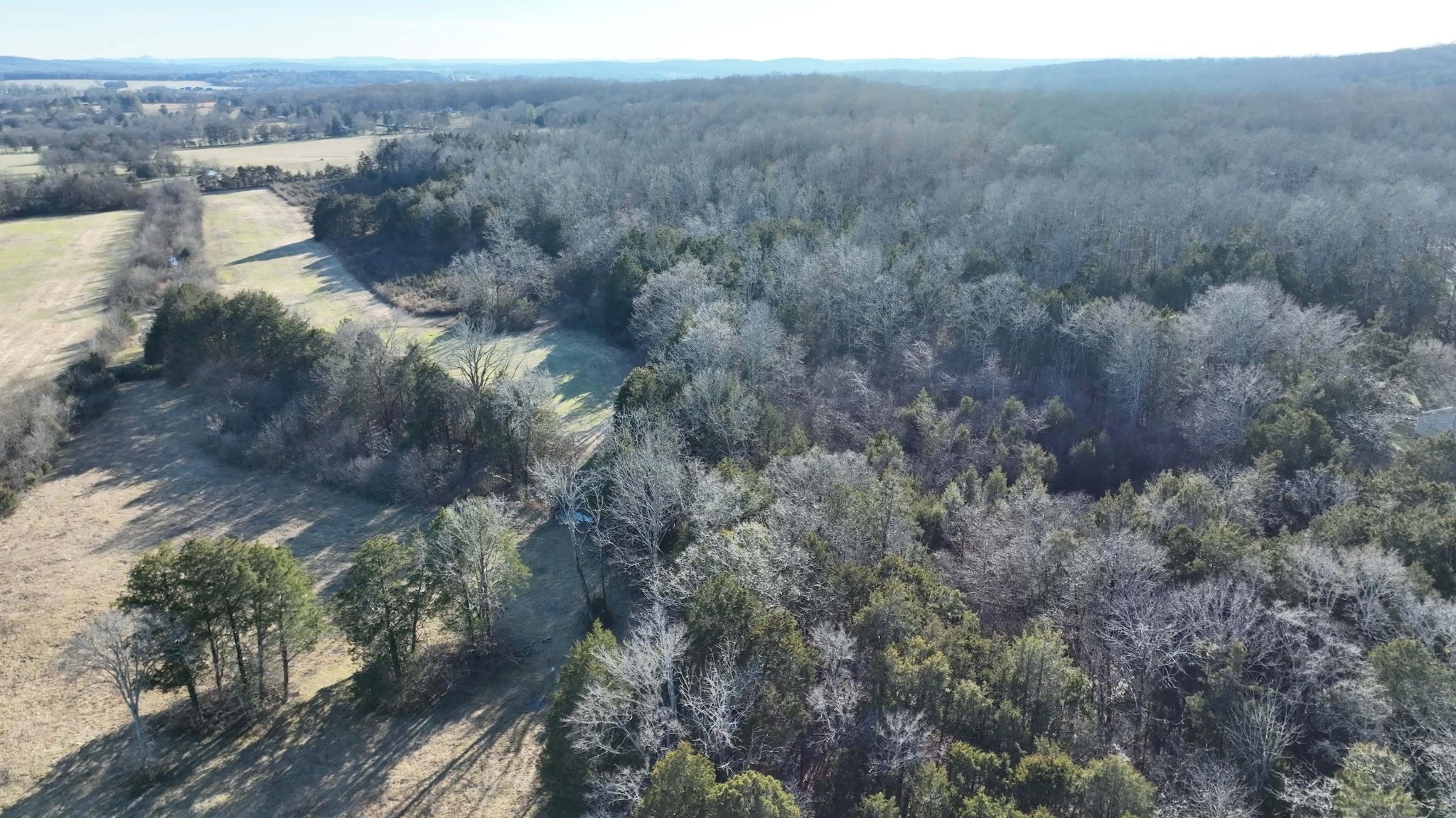 10914 Oregon Road Lascassas, TN 37085 - Photo 11 of 48