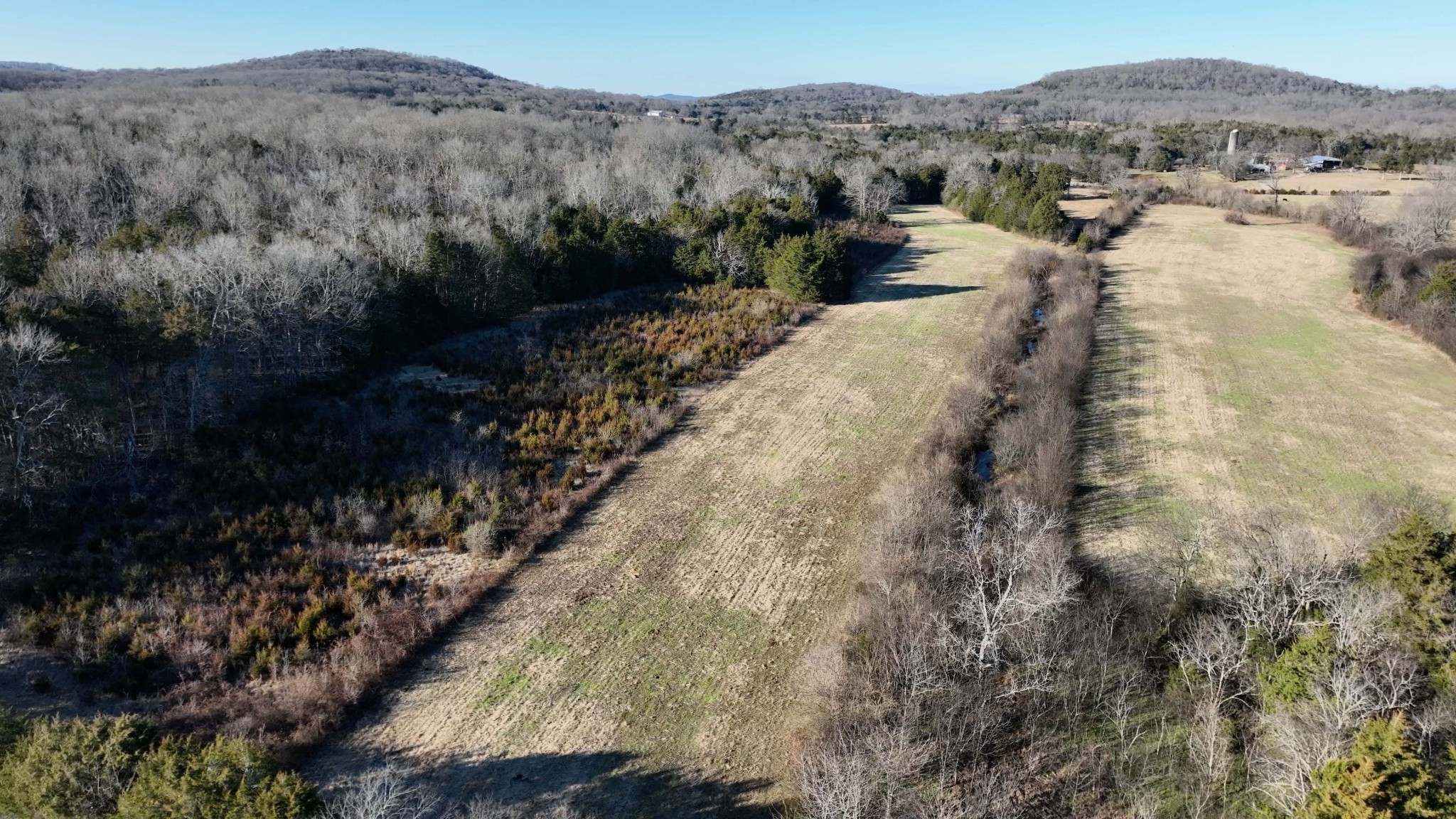 10914 Oregon Road Lascassas, TN 37085 - Photo 13 of 48