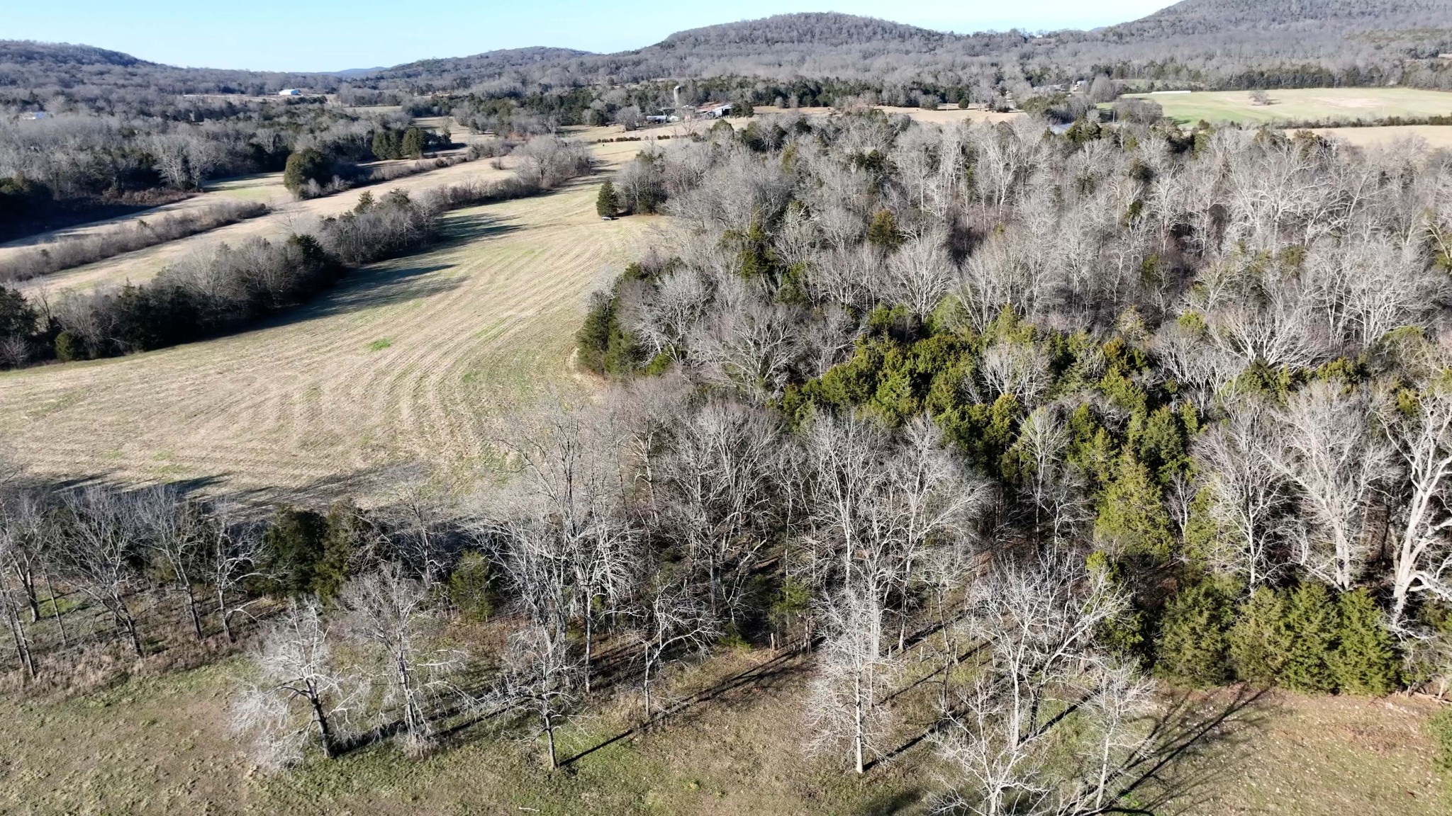 10914 Oregon Road Lascassas, TN 37085 - Photo 14 of 48