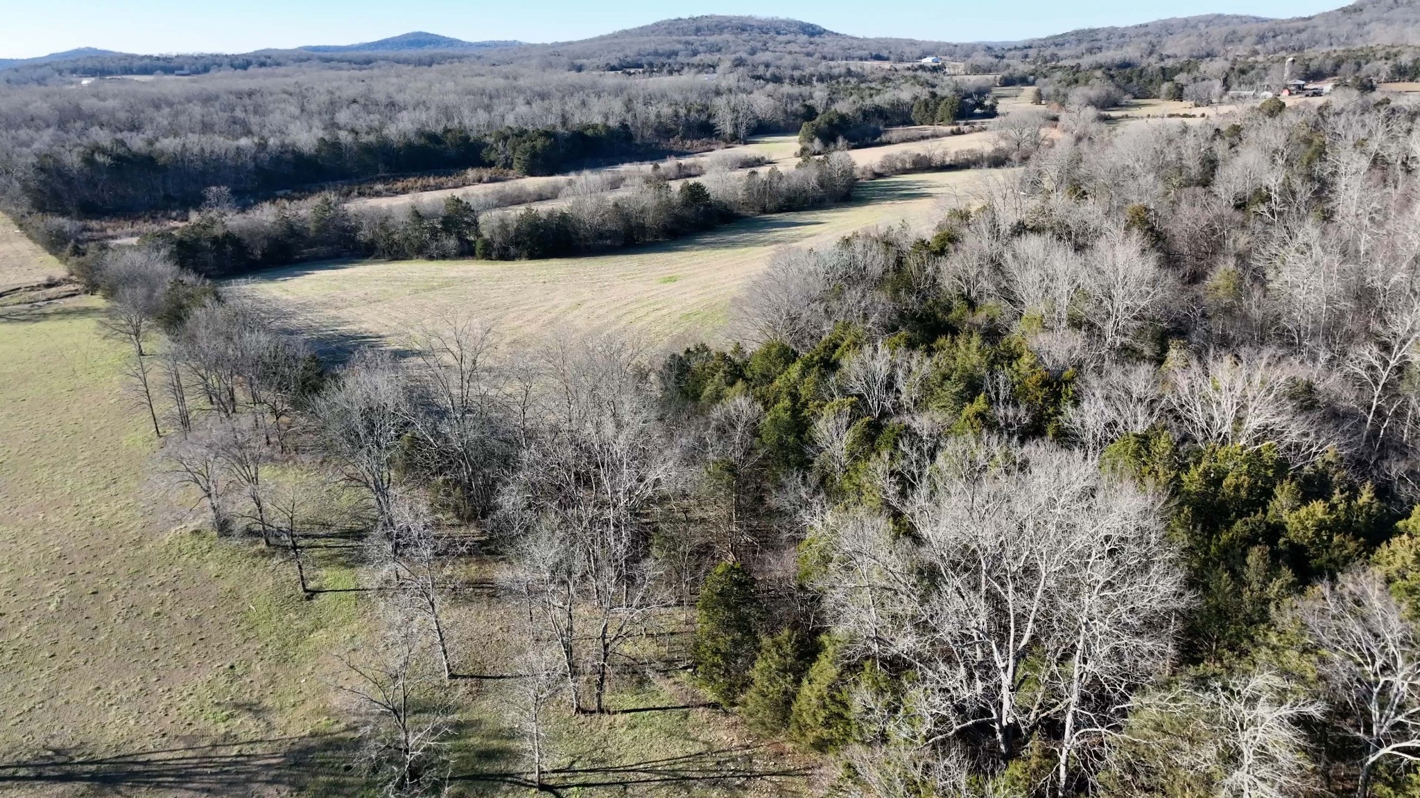 10914 Oregon Road Lascassas, TN 37085 - Photo 15 of 48