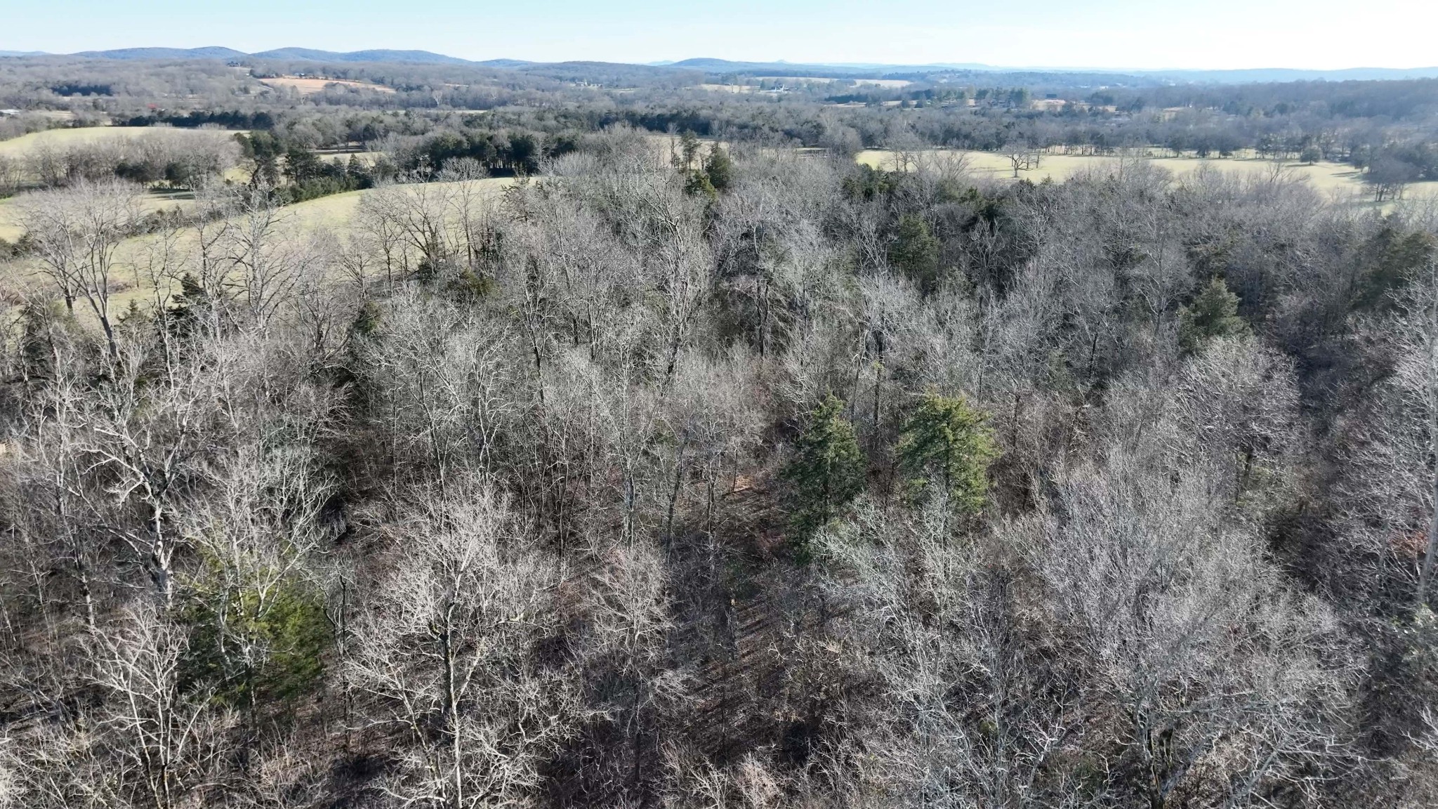 10914 Oregon Road Lascassas, TN 37085 - Photo 16 of 48