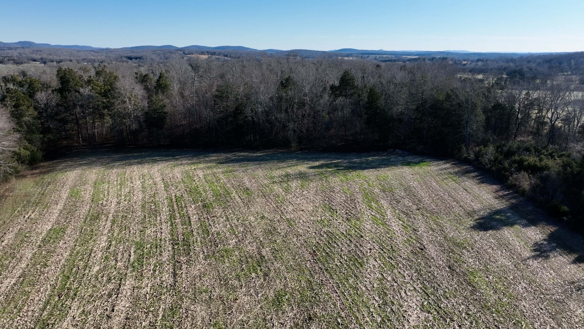 10914 Oregon Road Lascassas, TN 37085 - Photo 17 of 48