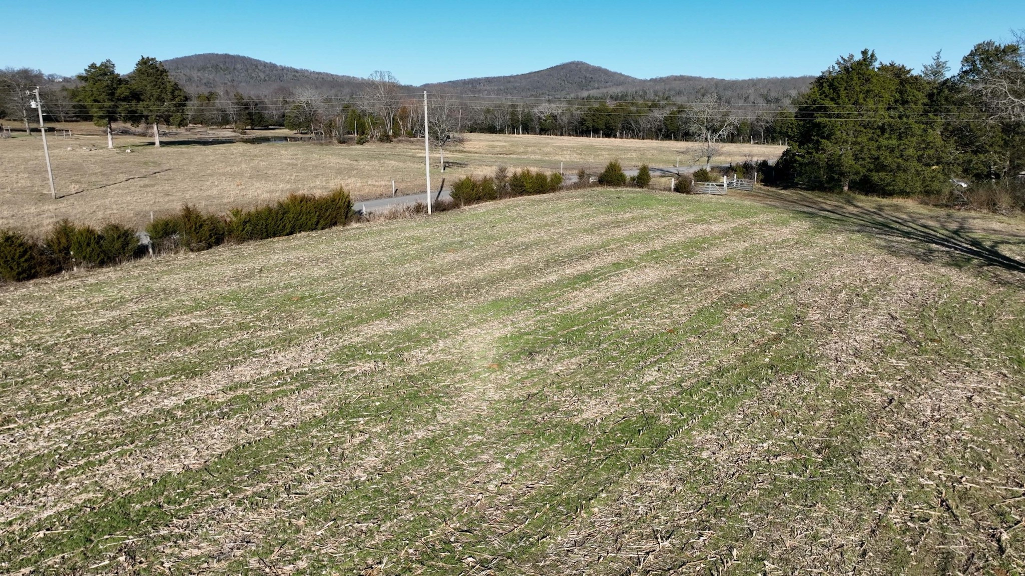 10914 Oregon Road Lascassas, TN 37085 - Photo 18 of 48