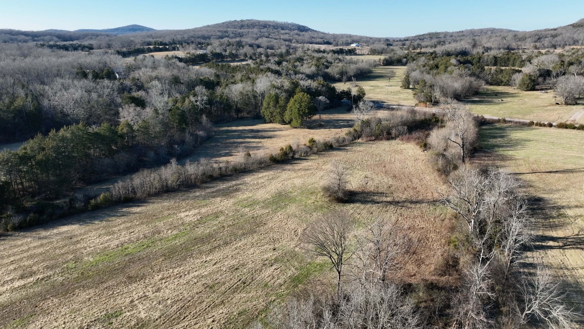 10914 Oregon Road Lascassas, TN 37085 - Photo 20 of 48