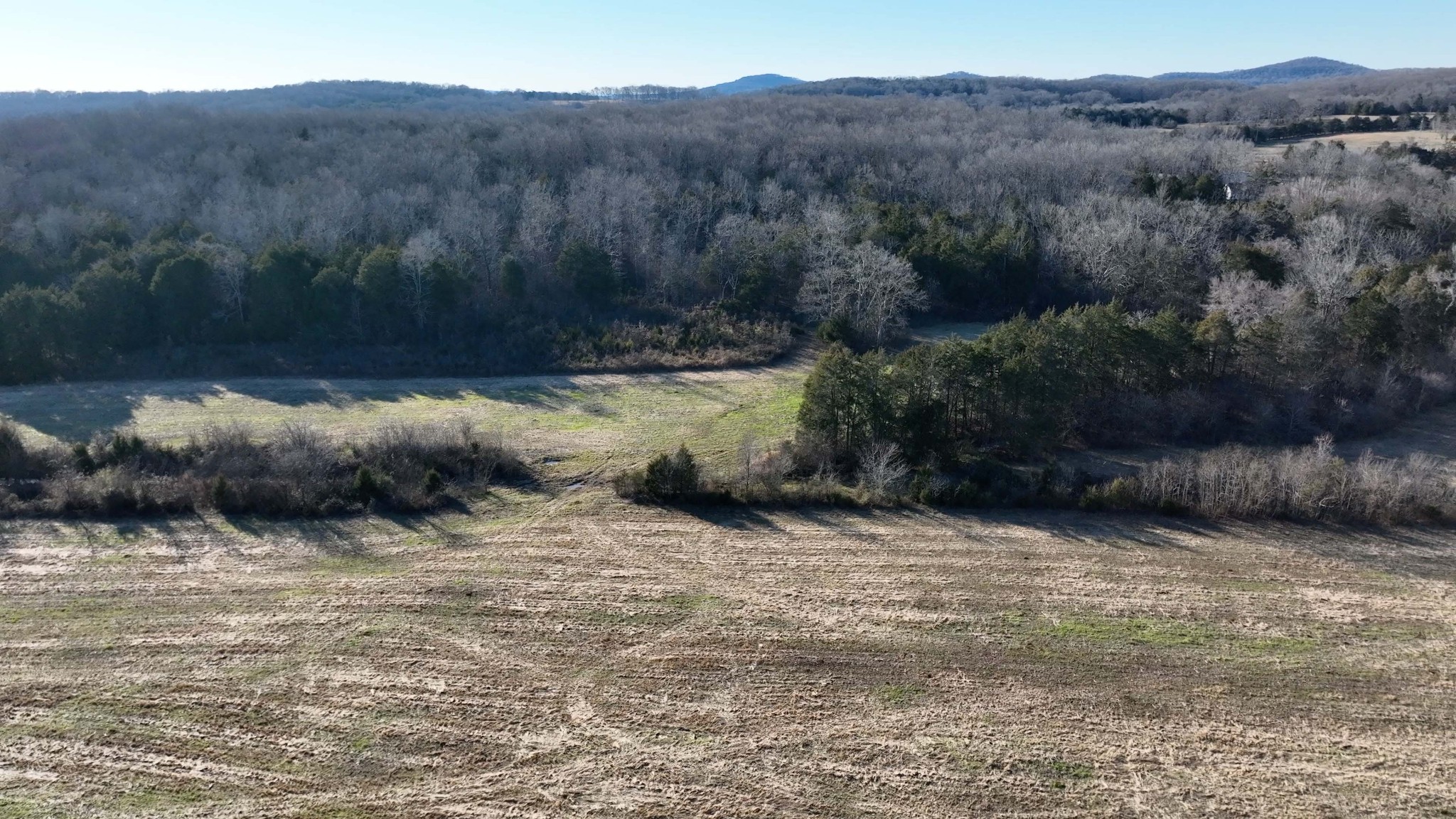 10914 Oregon Road Lascassas, TN 37085 - Photo 21 of 48