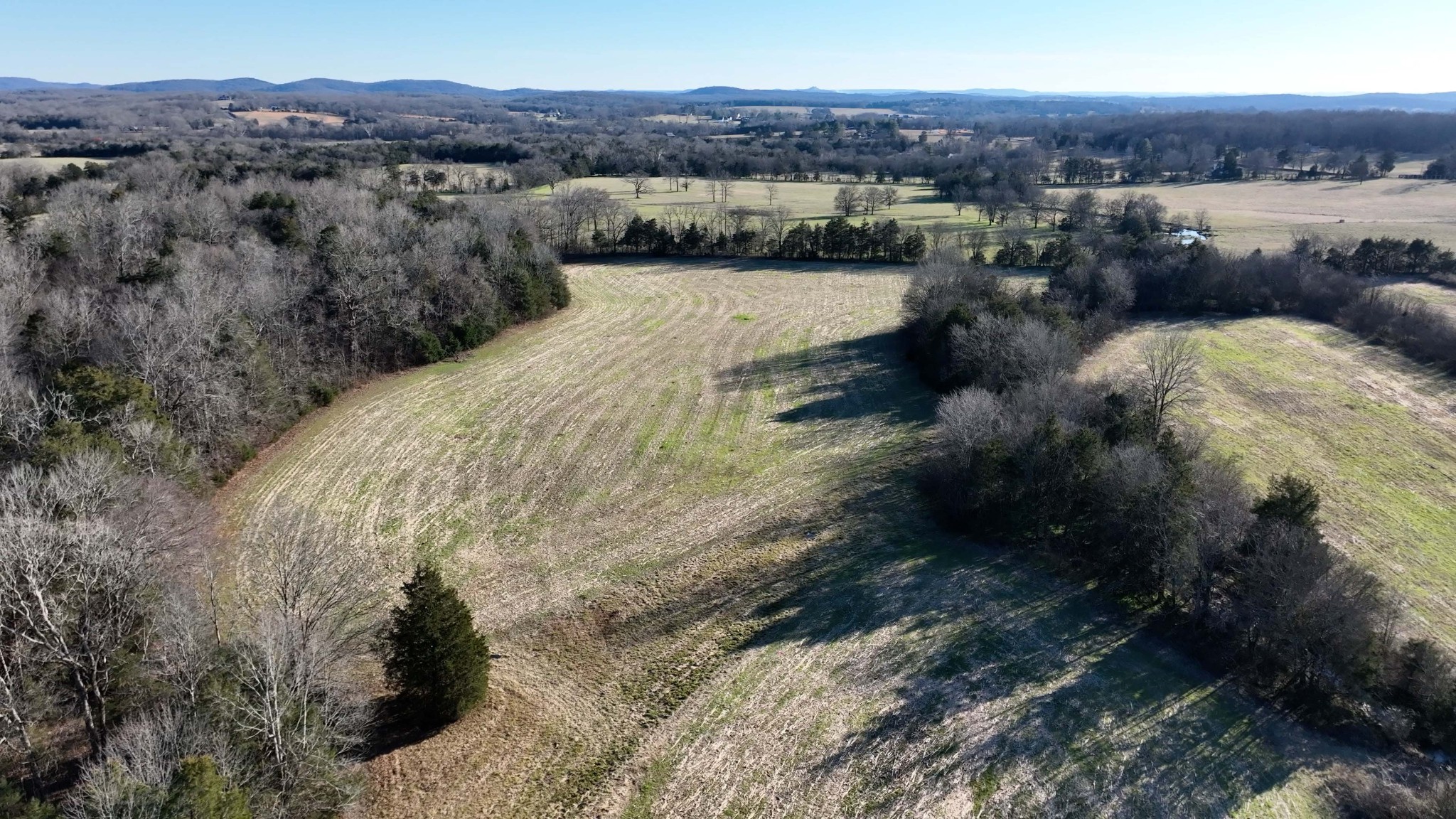10914 Oregon Road Lascassas, TN 37085 - Photo 23 of 48