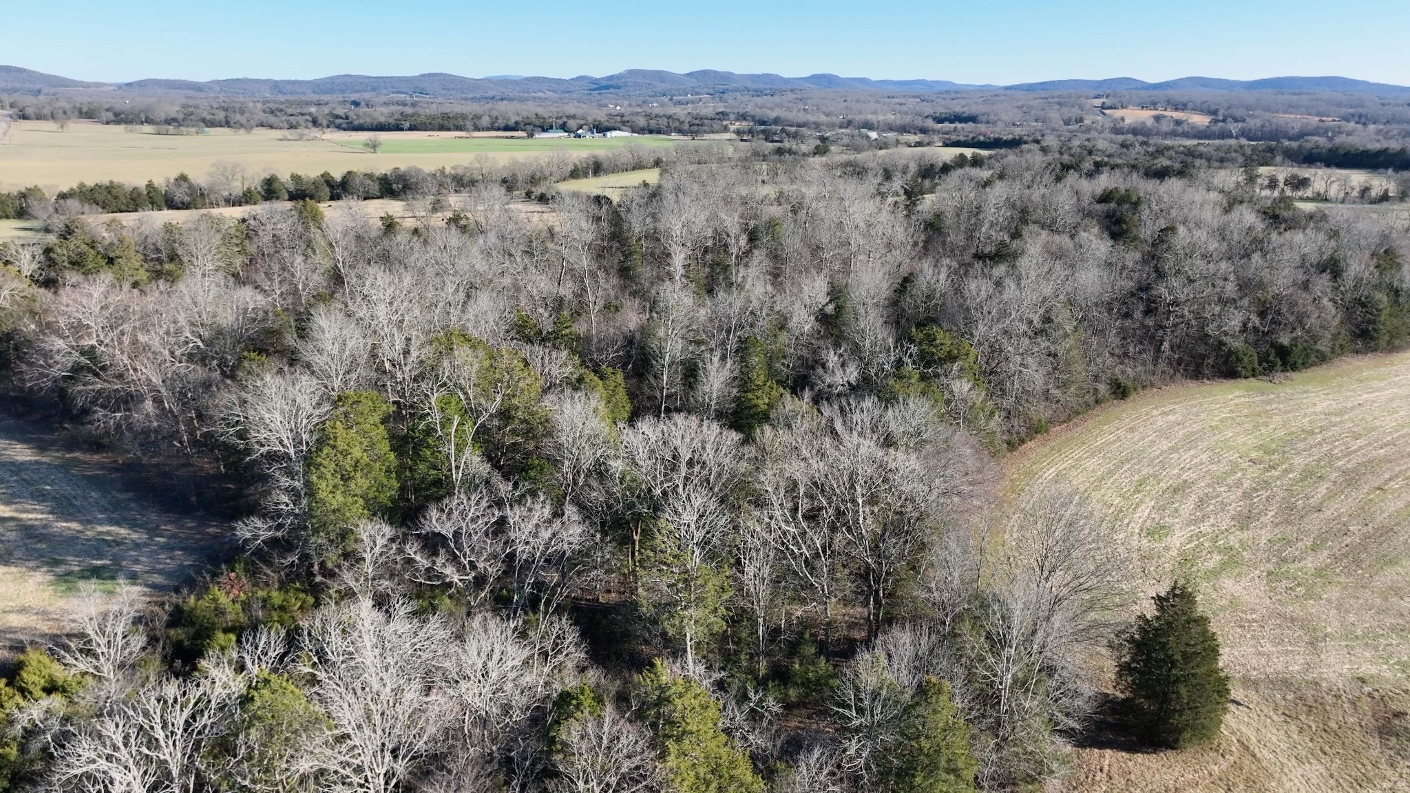 10914 Oregon Road Lascassas, TN 37085 - Photo 24 of 48