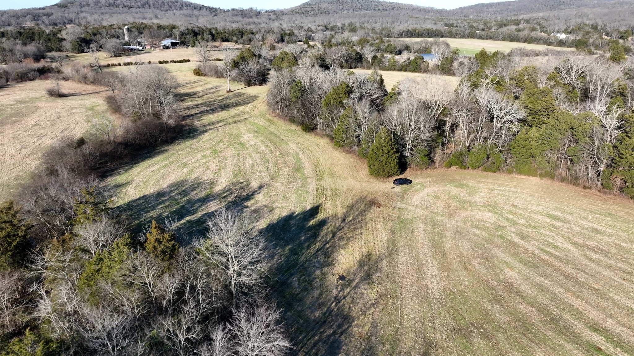 10914 Oregon Road Lascassas, TN 37085 - Photo 28 of 48