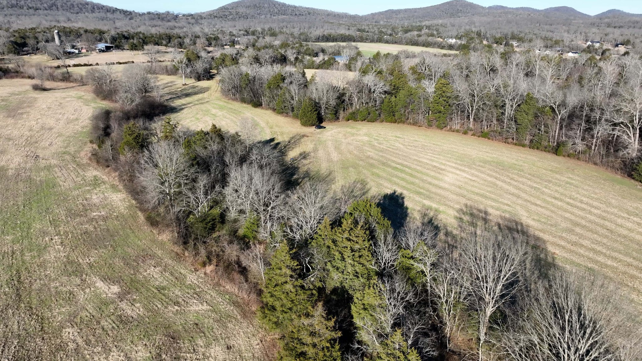 10914 Oregon Road Lascassas, TN 37085 - Photo 29 of 48