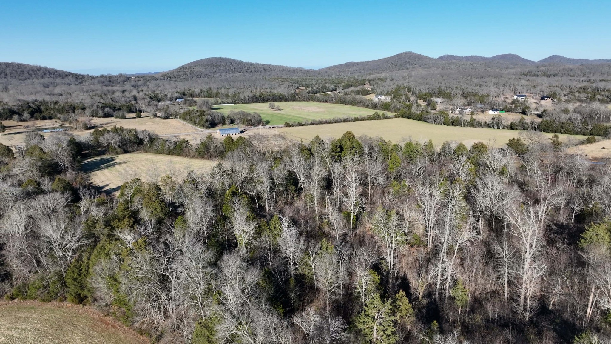 10914 Oregon Road Lascassas, TN 37085 - Photo 41 of 48