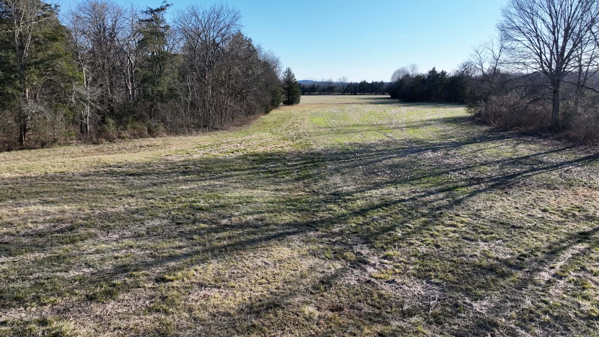 10914 Oregon Road Lascassas, TN 37085 - Photo 42 of 48