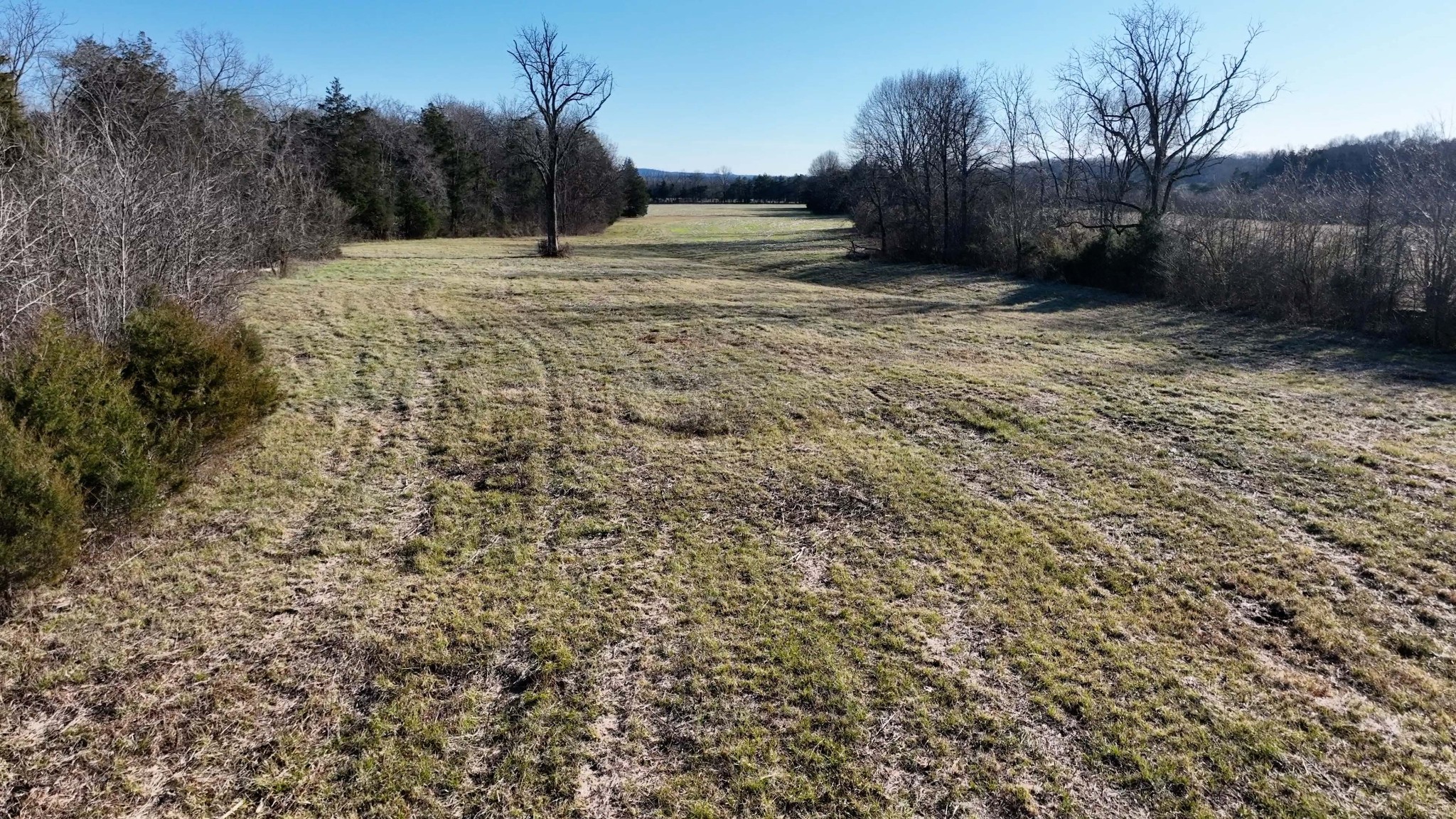 10914 Oregon Road Lascassas, TN 37085 - Photo 43 of 48