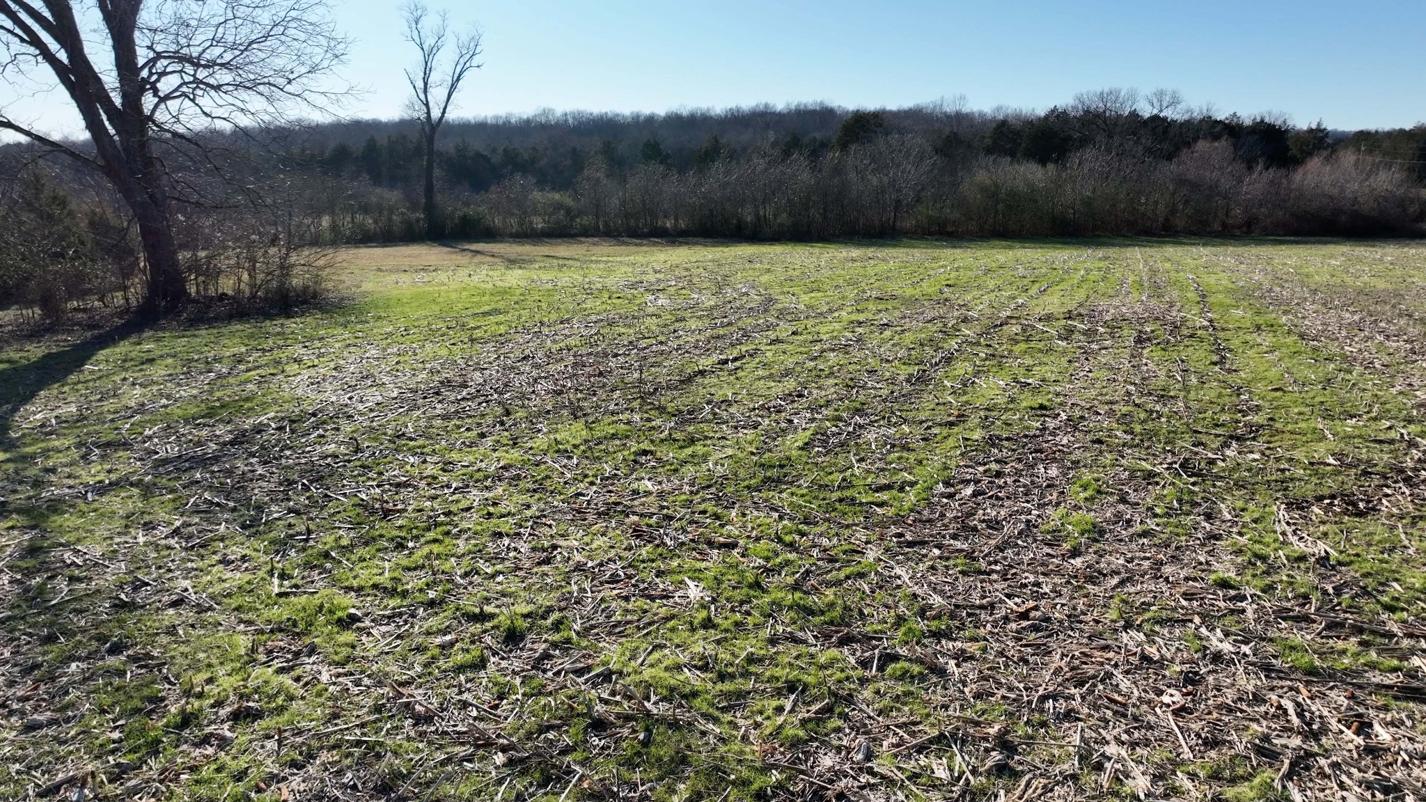 10914 Oregon Road Lascassas, TN 37085 - Photo 44 of 48