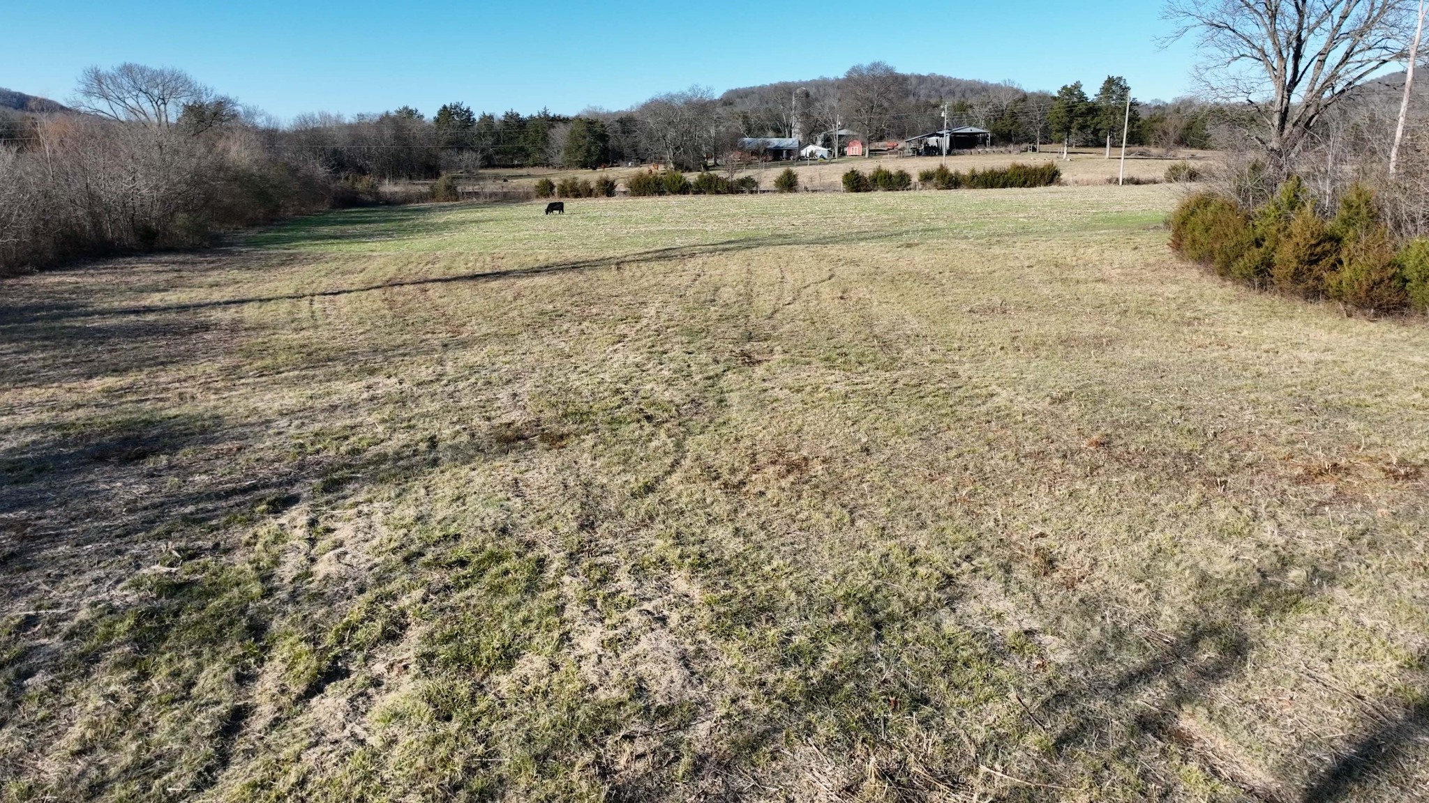 10914 Oregon Road Lascassas, TN 37085 - Photo 5 of 48