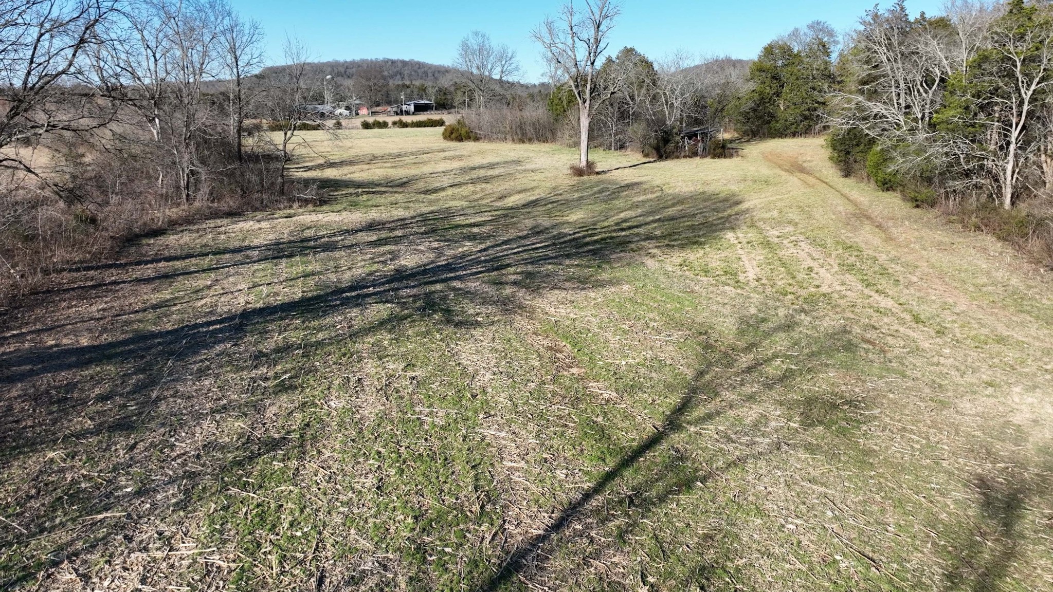 10914 Oregon Road Lascassas, TN 37085 - Photo 6 of 48