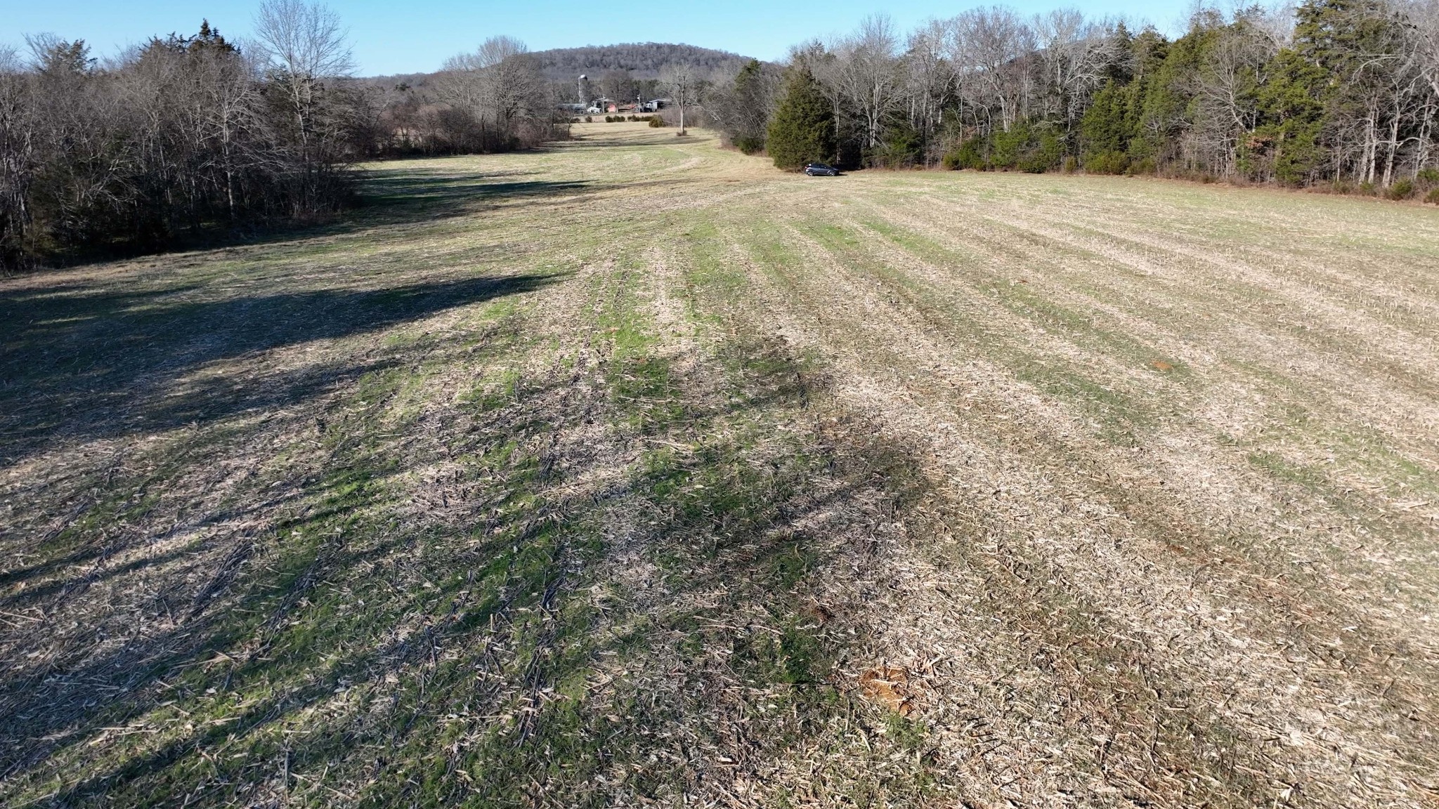 10914 Oregon Road Lascassas, TN 37085 - Photo 7 of 48