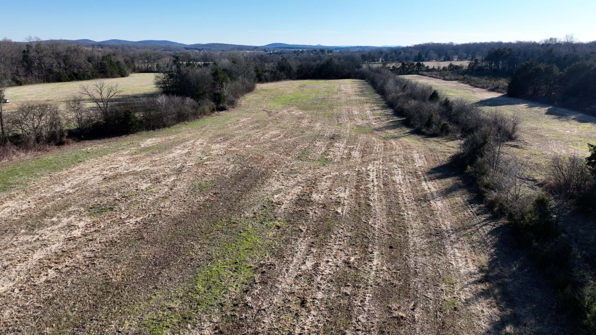 10914 Oregon Road Lascassas, TN 37085 - Photo 9 of 48