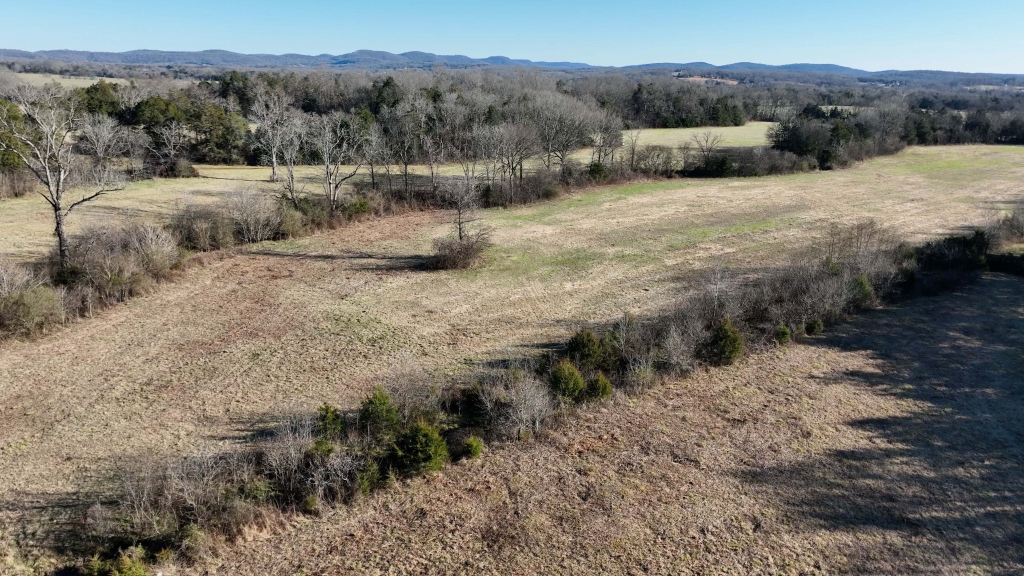 10914 Oregon Road Lascassas, TN 37085 - Photo 10 of 48