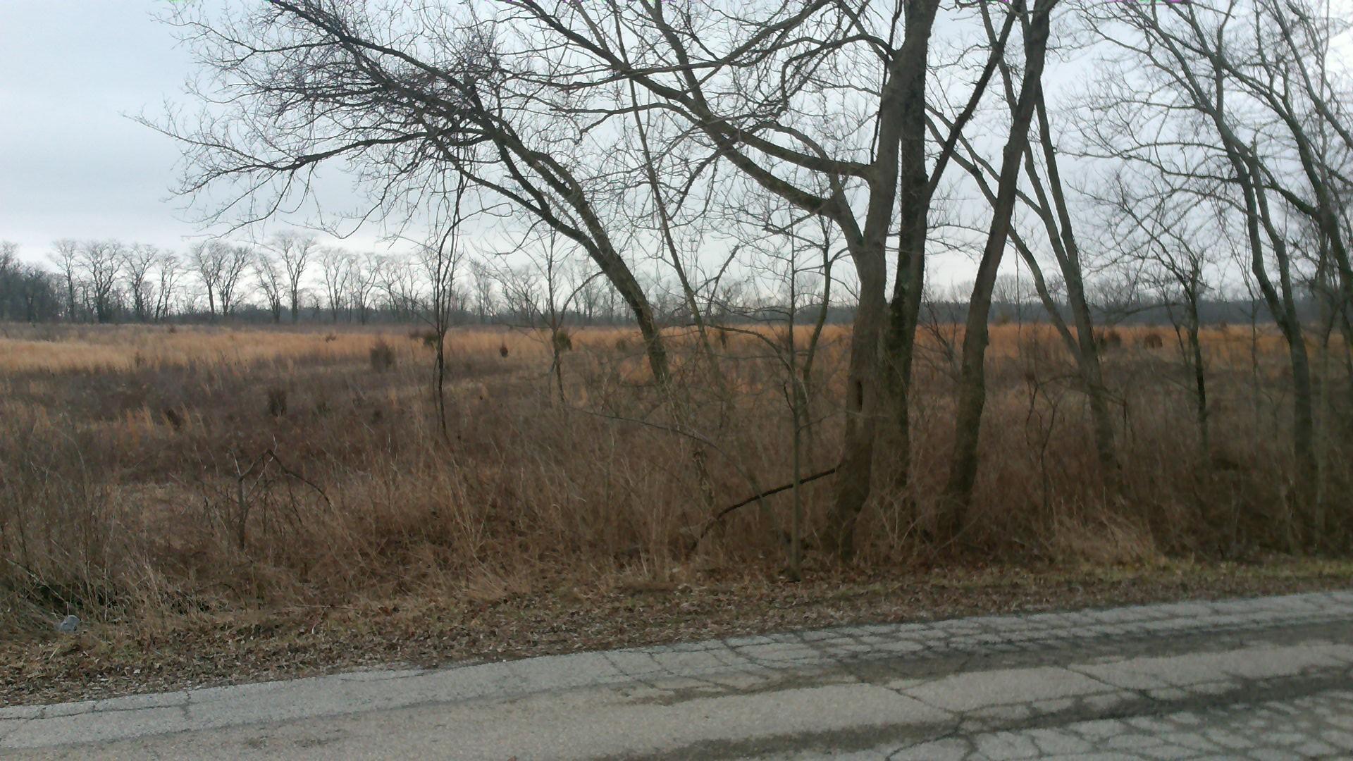 9084 Geirich Road Galloway, OH 43119 - Photo 10 of 21 Gallery Image 10
