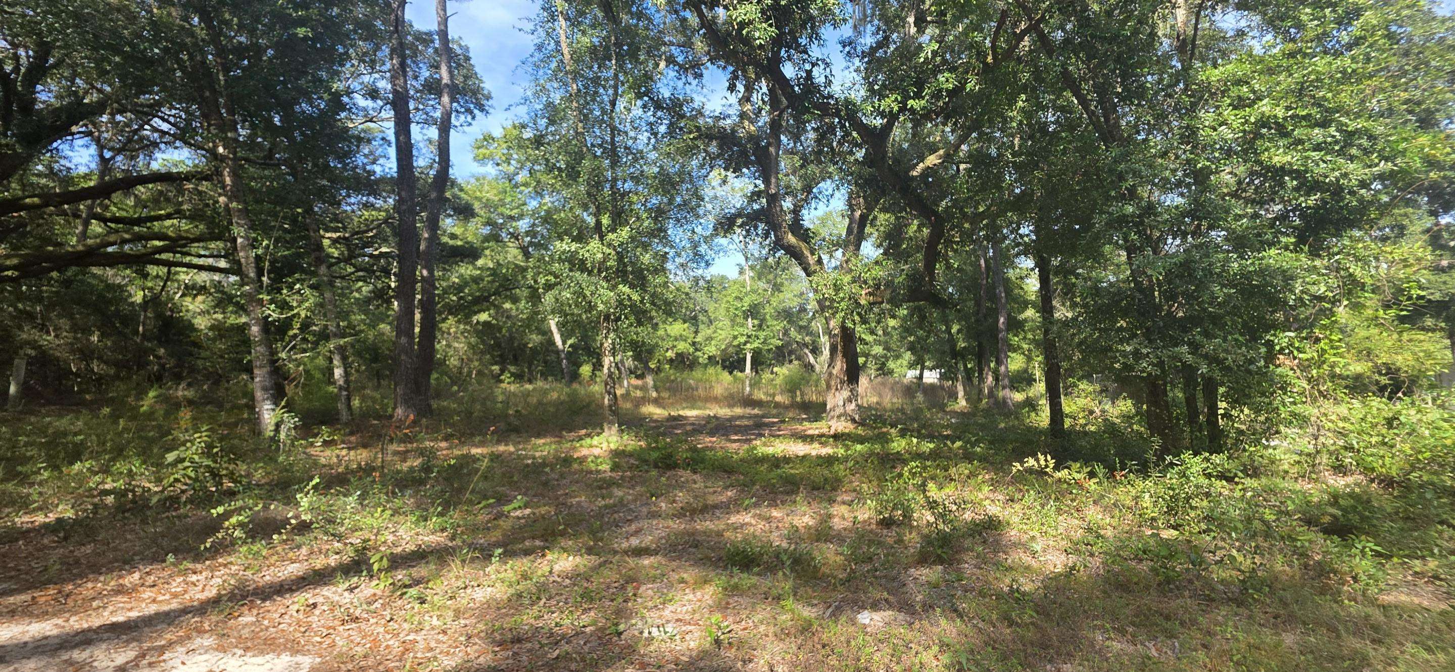 12540 3rd Avenue Foley, AL 36535 - Photo 3 of 22