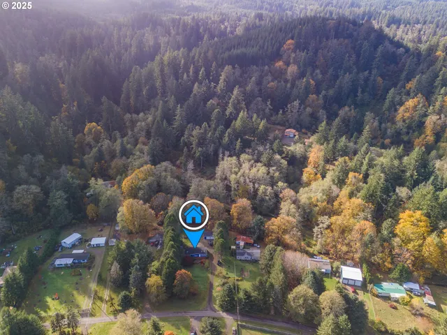 a view of a bunch of trees and mountains