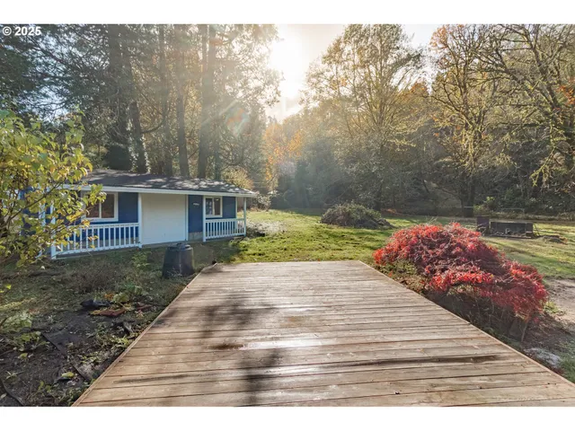 a view of a backyard