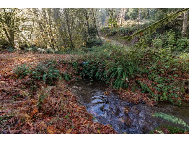 a view of outdoor space yard and patio