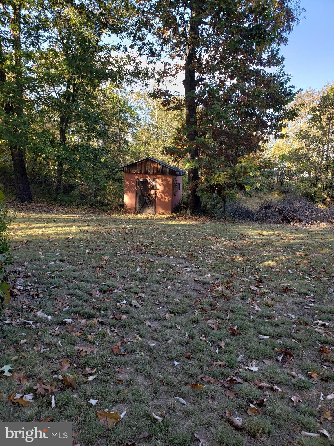 3328 Dominion Road Gerrardstown, WV 25420 - Photo 6 of 19 shed for gardening tools