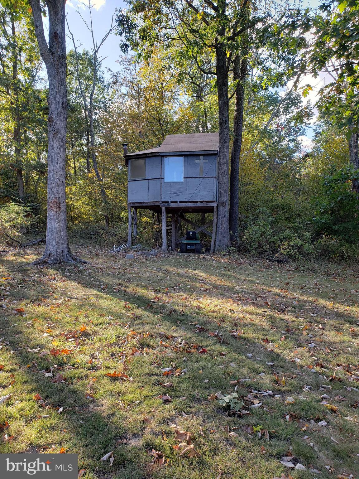 3328 Dominion Road Gerrardstown, WV 25420 - Photo 7 of 19 Tree house, needs some work