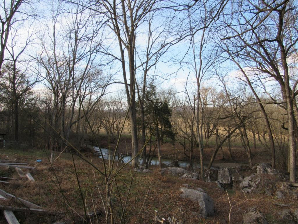 1265 Wilkerson Road Mosheim, TN 37818 - Photo 3 of 8 Photo 3