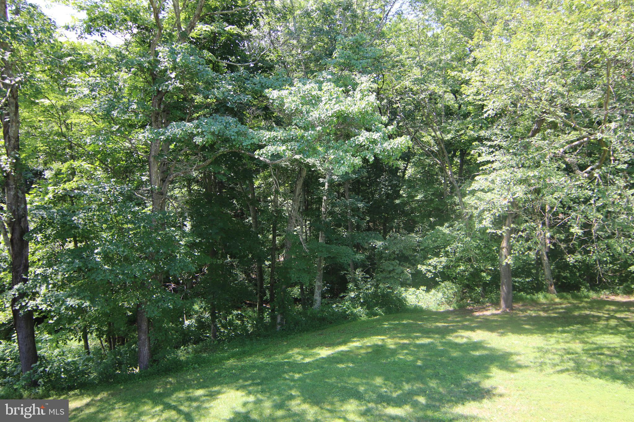 246 Enders Road Halifax, PA 17032 - Photo 36 of 93