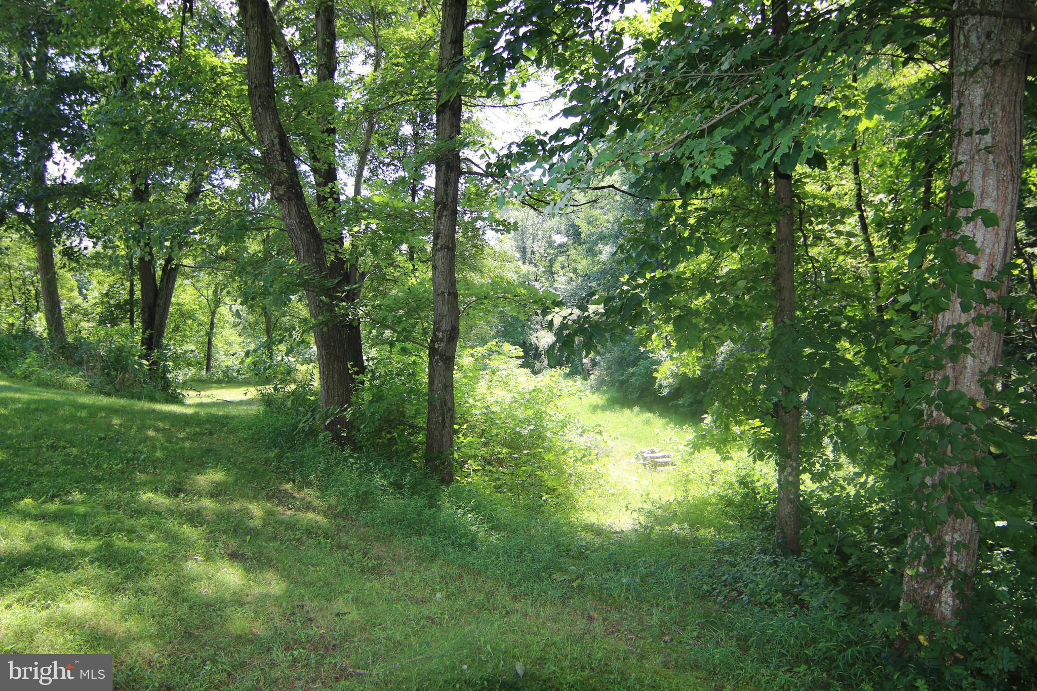 246 Enders Road Halifax, PA 17032 - Photo 80 of 93