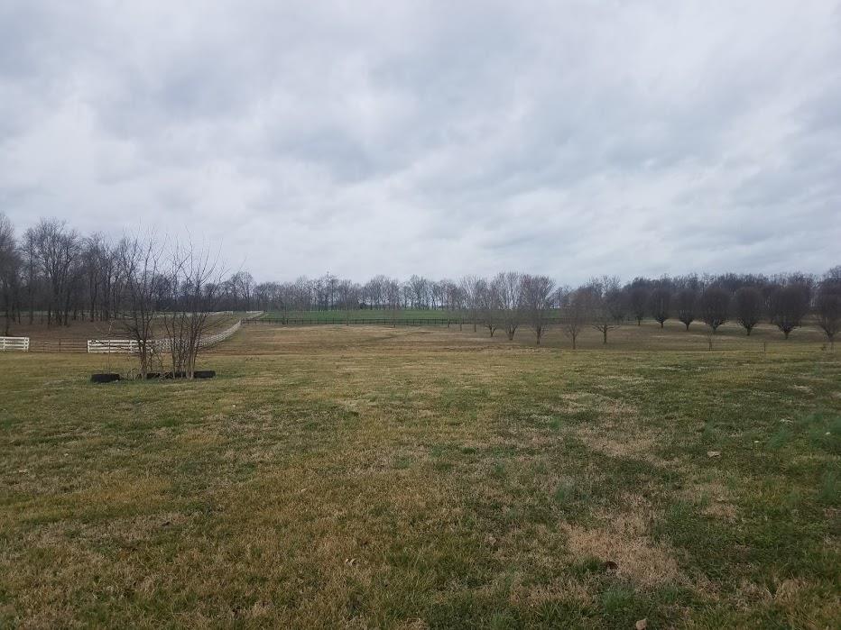4686 Matthews Road Cedar Hill, TN 37032 - Photo 19 of 20 a view of a lake with houses in the back