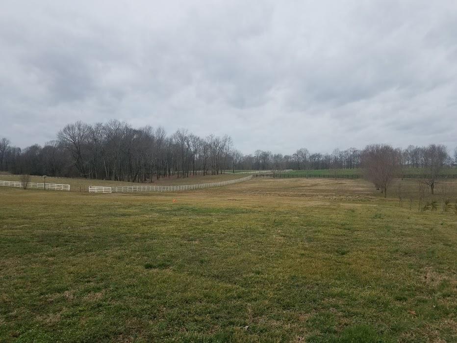4686 Matthews Road Cedar Hill, TN 37032 - Photo 20 of 20 a view of a lake view
