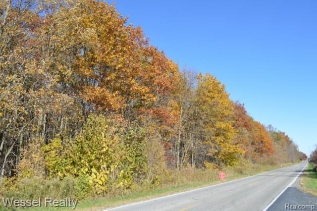 0 Smiths Creek Road Goodells, MI 48027 - Photo 3 of 9