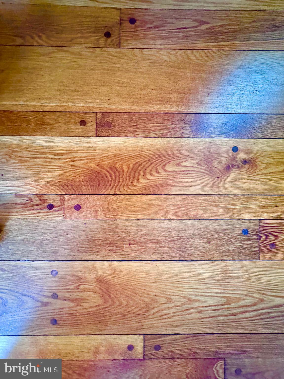 409 Marple Road Broomall, PA 19008 - Photo 22 of 37 a view of ocean view