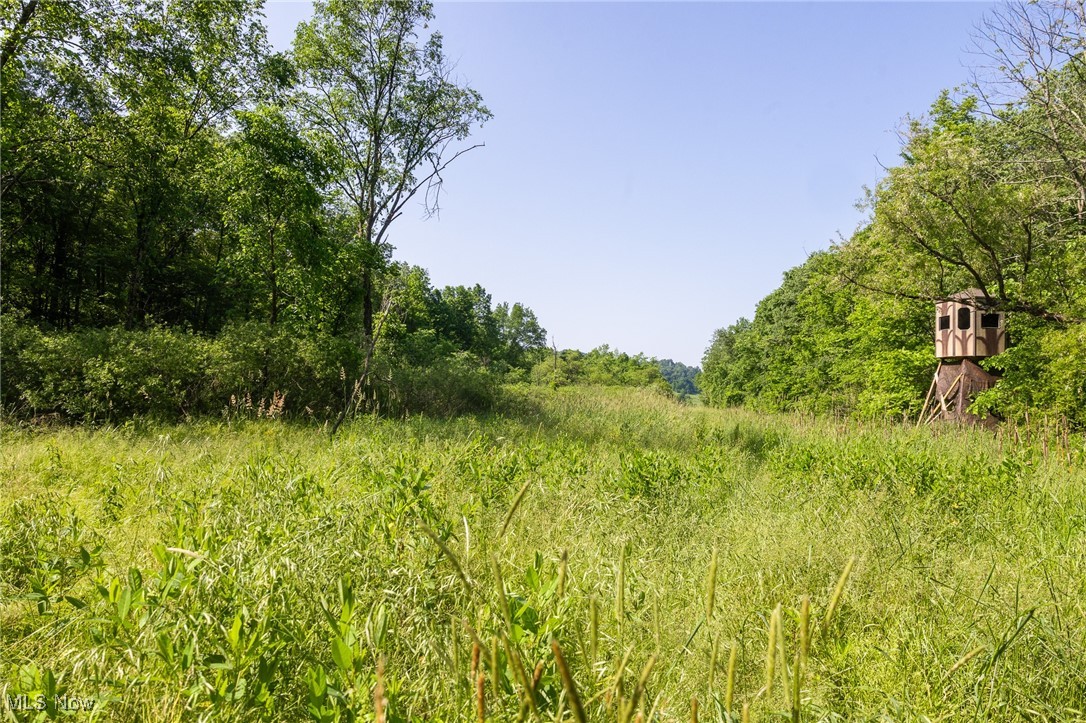 Azalea Road Dennison, OH 44621 - Photo 4 of 50 View of nature