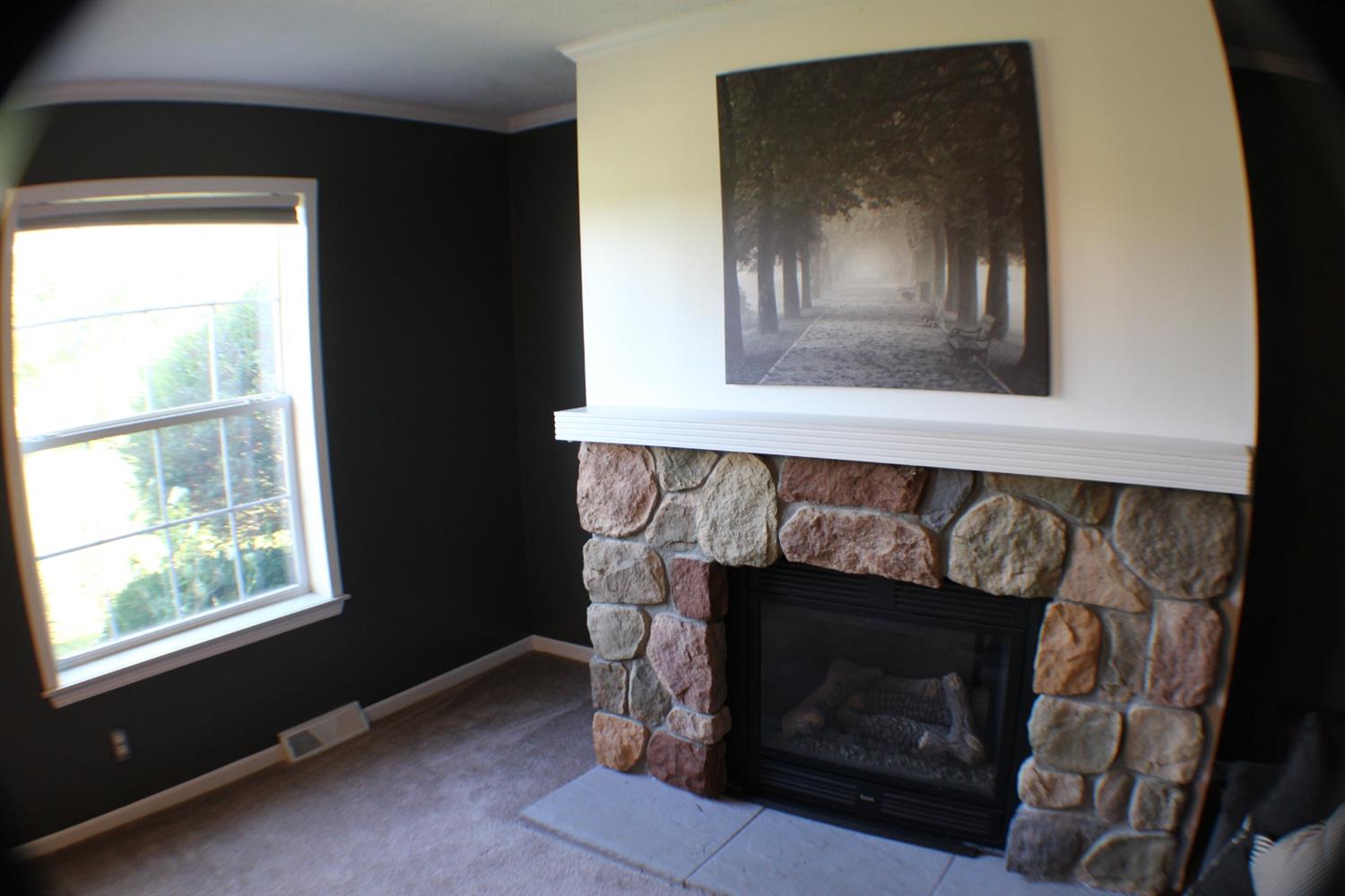 1642 Van Osdol Road Vevay, IN 47043 - Photo 3 of 43