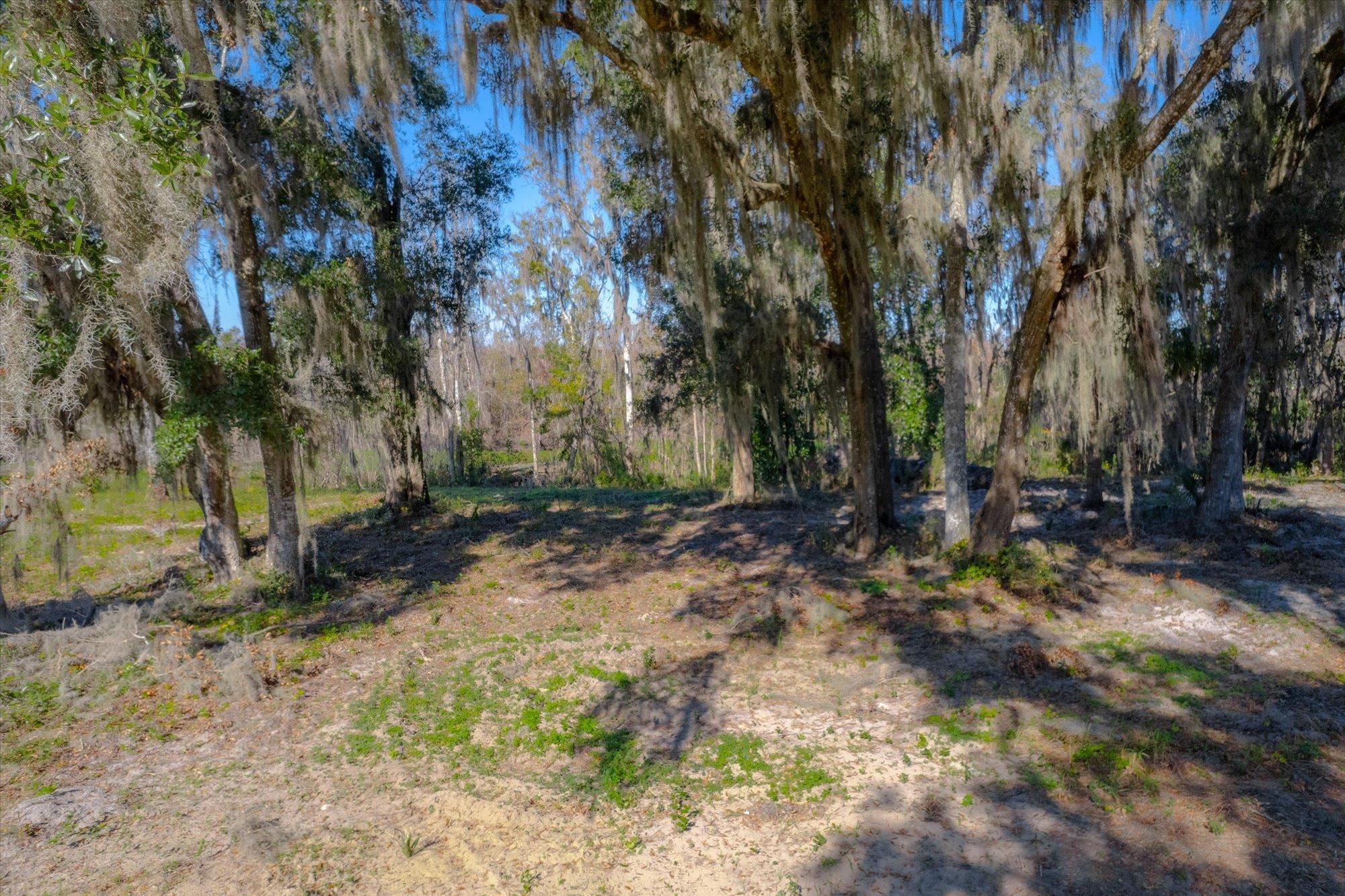 114 Ridgeline Avenue Satsuma, FL 32189 - Photo 2 of 14 a view of backyard with green space