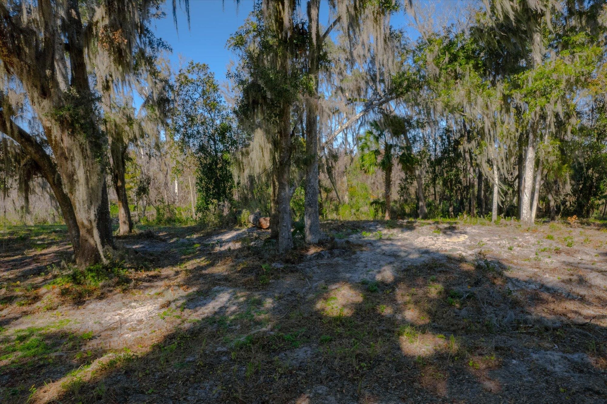 114 Ridgeline Avenue Satsuma, FL 32189 - Photo 3 of 14 a view of backyard space