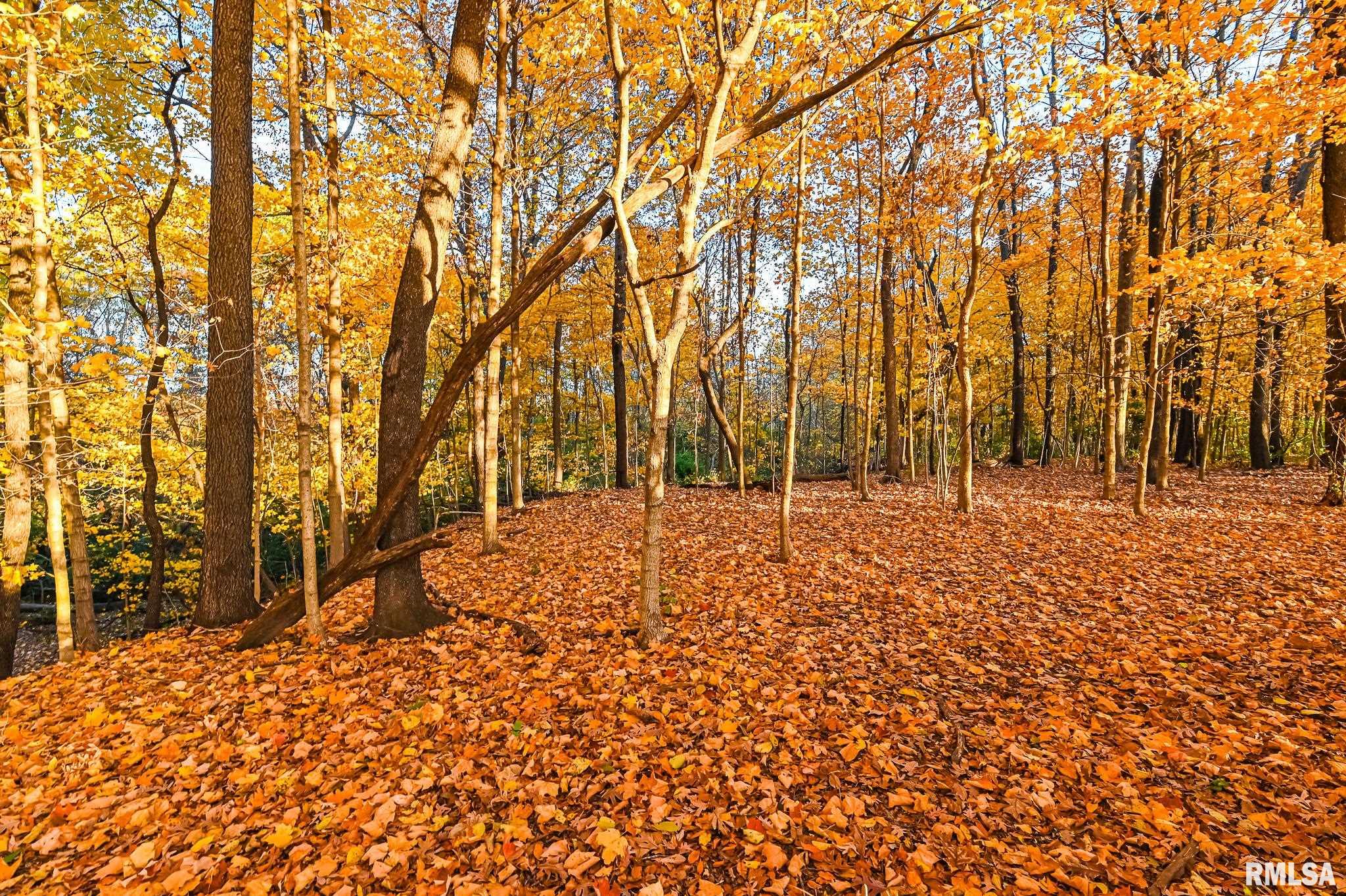 8810 South Mapleton Road Mapleton, IL 61547 - Photo 69 of 74